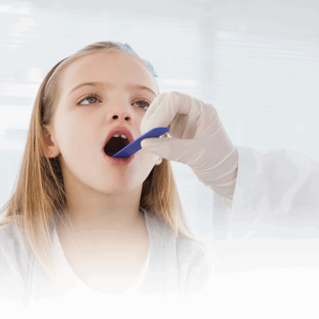 Bademcik ve Genizeti Hastalıkları Bademcik ve Genizeti Hastalıkları