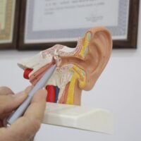 Otoskleroz Hastalığı