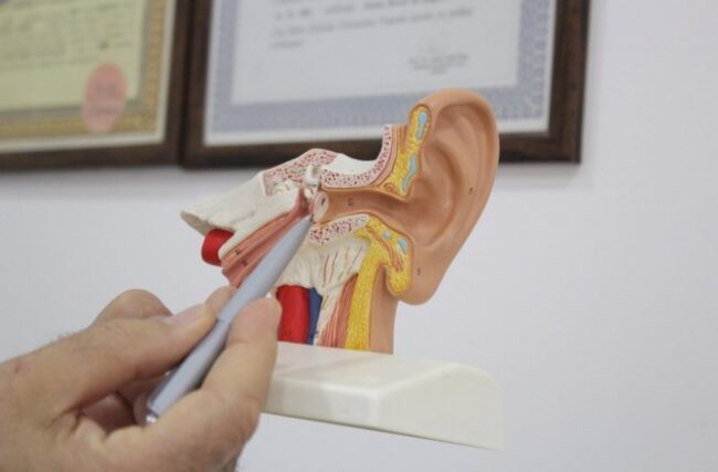 Otoskleroz Hastalığı