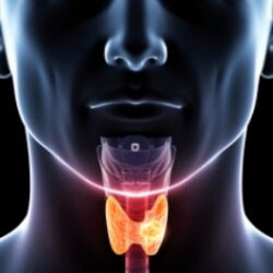 Ses Teli Hastalıkları Ses Teli Hastalıkları