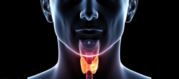 Ses Teli Hastalıkları Ses Teli Hastalıkları