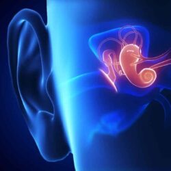 Timpanoplasti Kulak Ameliyatı Timpanoplasti Kulak Ameliyatı